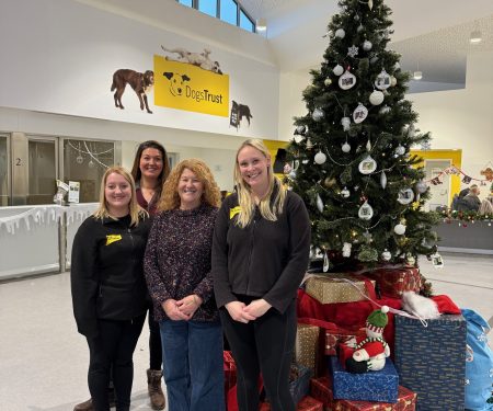 PCC Susan Dungworth backs Dogs Trust appeal for more foster homes across the North East amid soaring demand for domestic abuse service