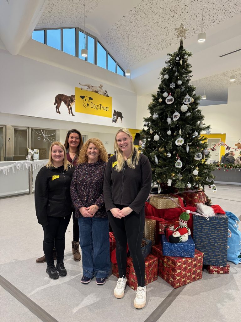 PCC Susan Dungworth backs Dogs Trust appeal for more foster homes across the North East amid soaring demand for domestic abuse service