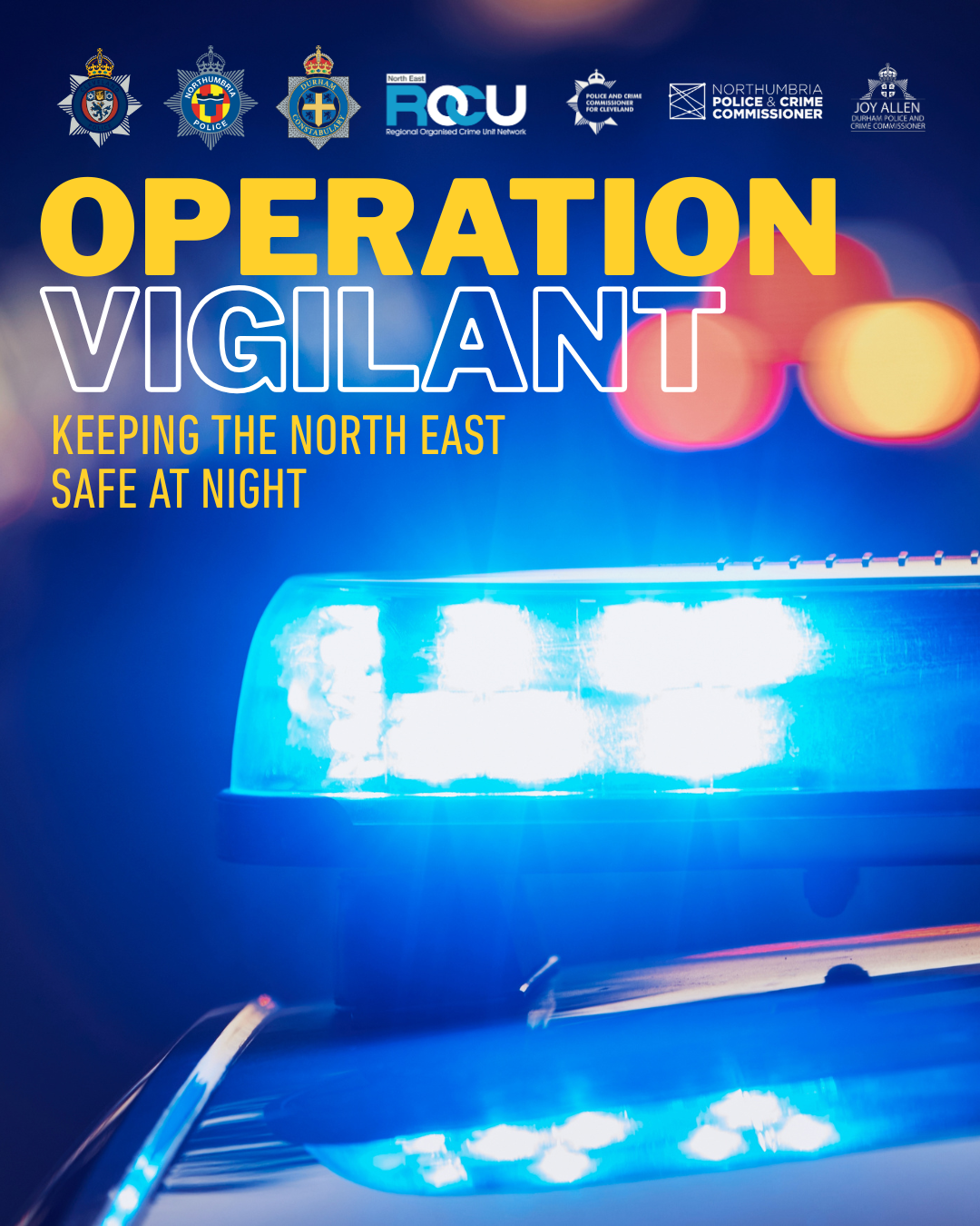 Project Vigilant – a regional commitment to tackling violence against ...